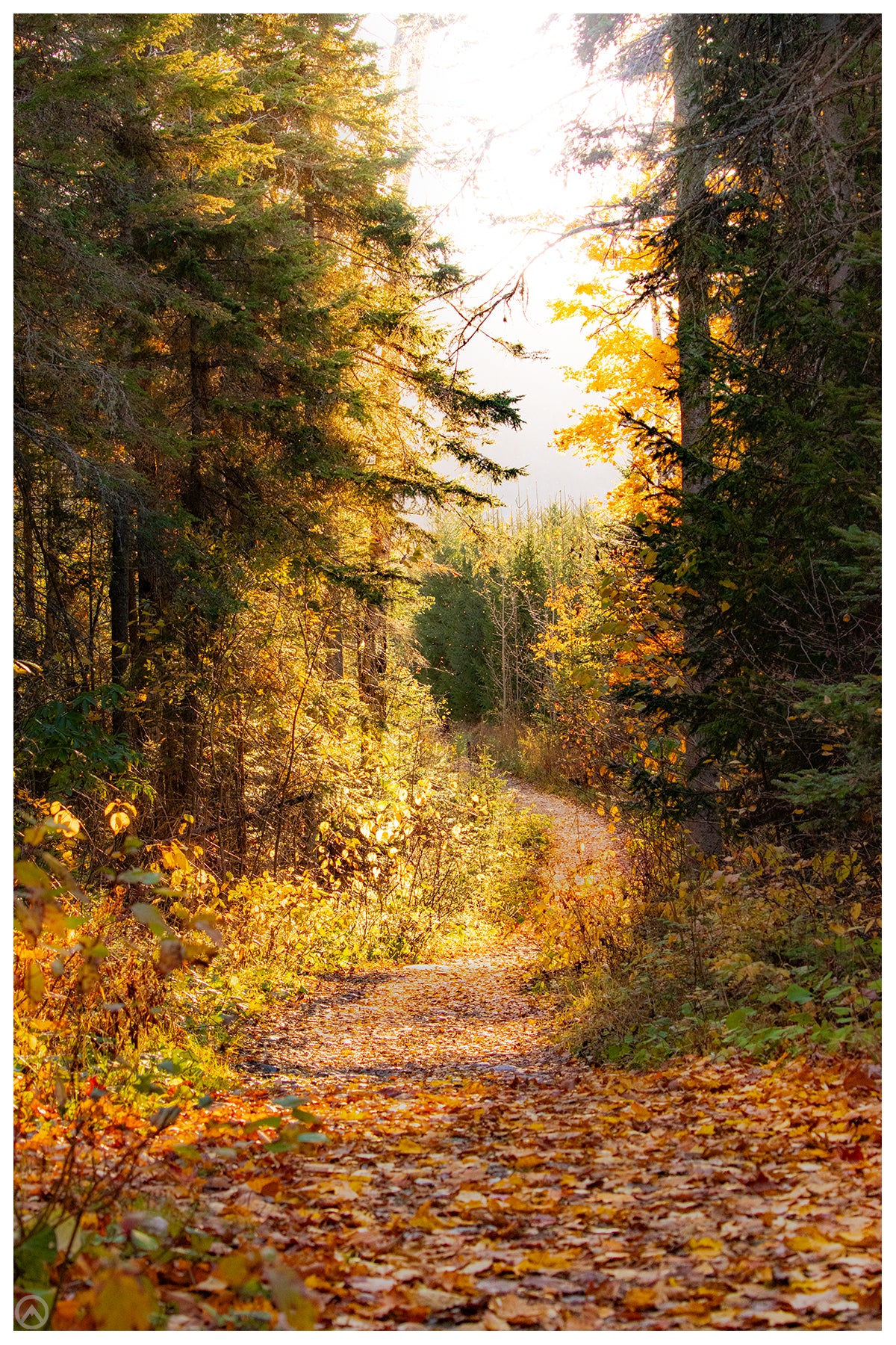 Randonnée d'automne à la chute Neigette